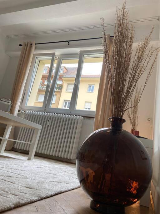 스트라스부르 Charismatique Orangerie-10Min Parlement Eu-Wifi-Tv 아파트 외부 사진