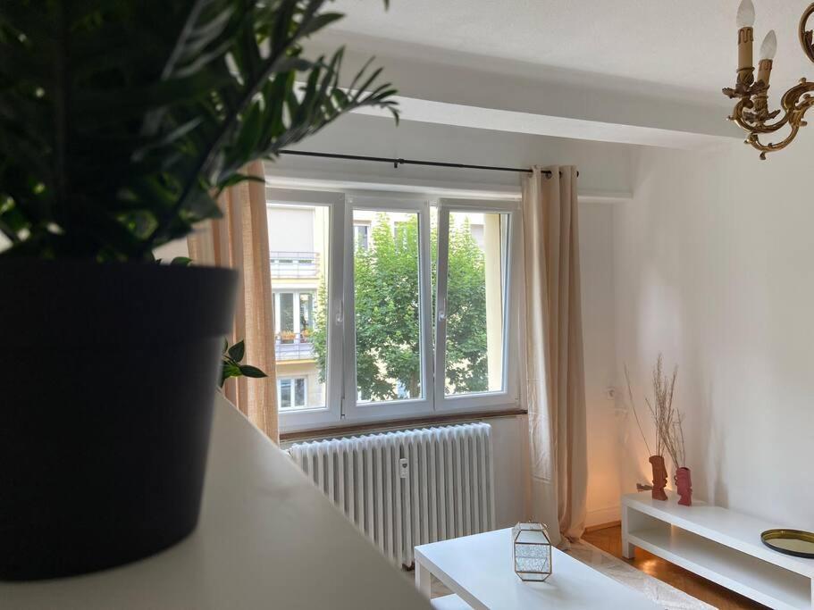 스트라스부르 Charismatique Orangerie-10Min Parlement Eu-Wifi-Tv 아파트 외부 사진