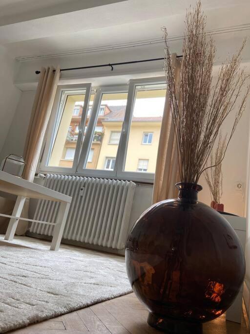 스트라스부르 Charismatique Orangerie-10Min Parlement Eu-Wifi-Tv 아파트 외부 사진
